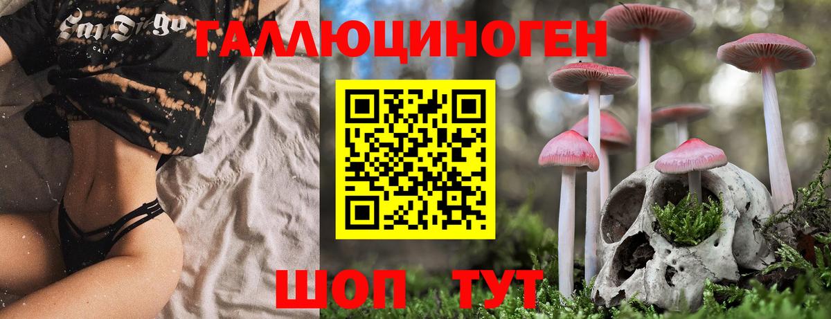 Псилоцибиновые грибы Psilocybe  Псилоцибиновые грибы прущие грибы  Магнитогорск  Вход с VPN 