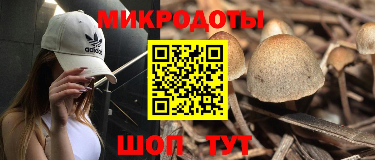 Галлюциногенные грибы мицелий Магнитогорск